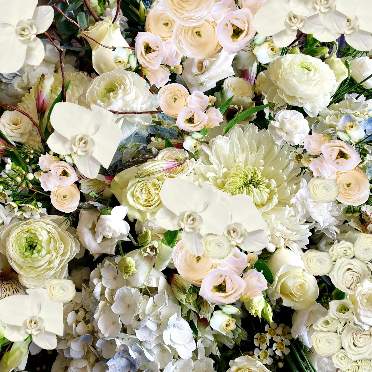 Assortment of white flowers